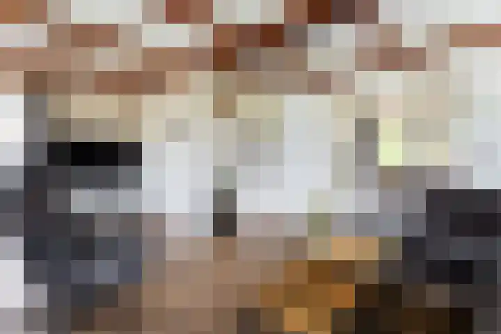 Heidehoek 5 Zevenhuizen thumbnail 15