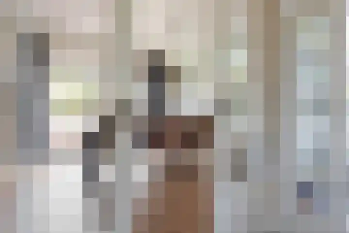 Heidehoek 5 Zevenhuizen thumbnail 17