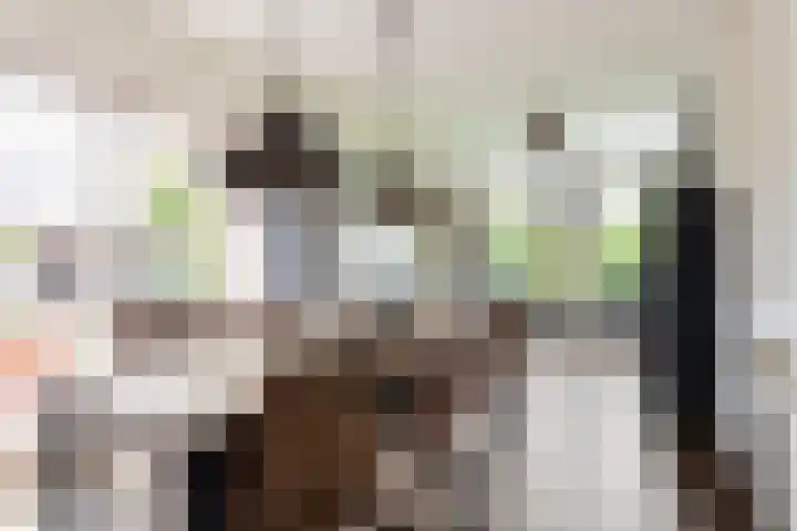 Heidehoek 5 Zevenhuizen thumbnail 18