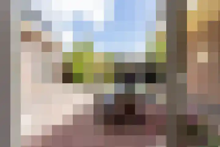 Heidehoek 5 Zevenhuizen thumbnail 20