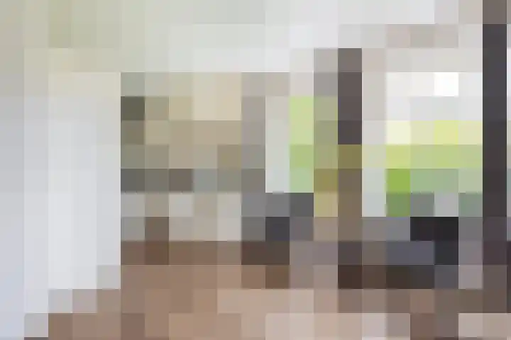 Heidehoek 5 Zevenhuizen thumbnail 21