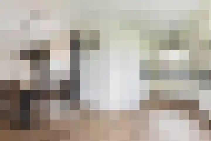 Heidehoek 5 Zevenhuizen thumbnail 22