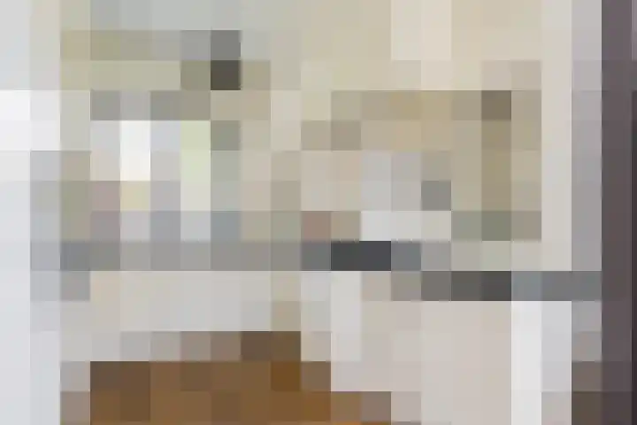 Heidehoek 5 Zevenhuizen thumbnail 23