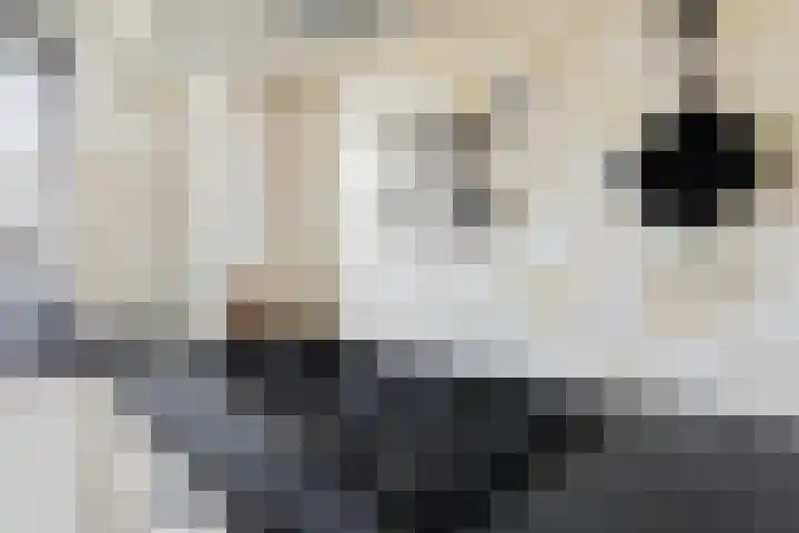 Heidehoek 5 Zevenhuizen thumbnail 24