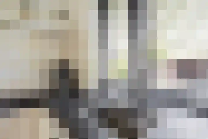 Heidehoek 5 Zevenhuizen thumbnail 25