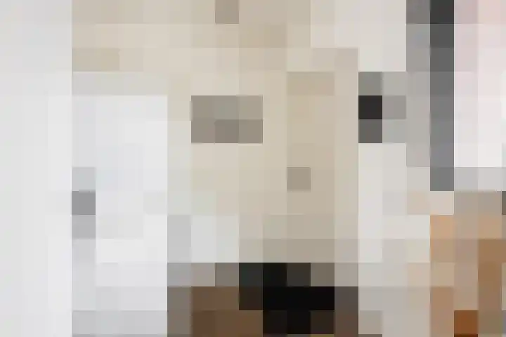 Heidehoek 5 Zevenhuizen thumbnail 28