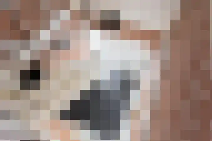 Heidehoek 5 Zevenhuizen thumbnail 30