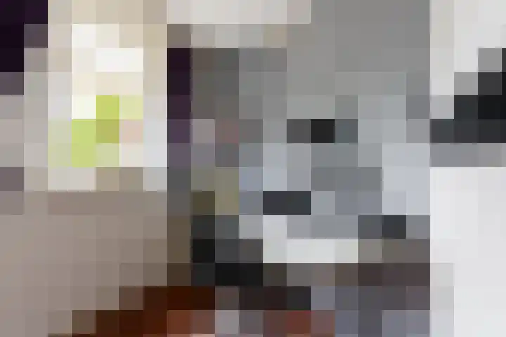 Heidehoek 5 Zevenhuizen thumbnail 39