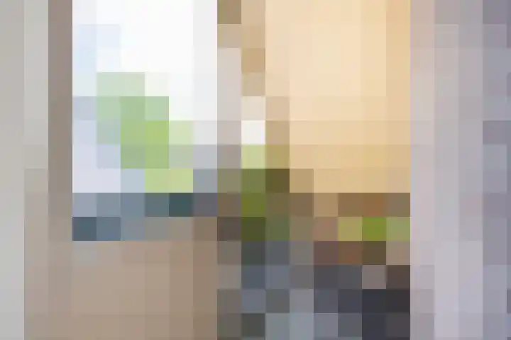 Heidehoek 5 Zevenhuizen thumbnail 45