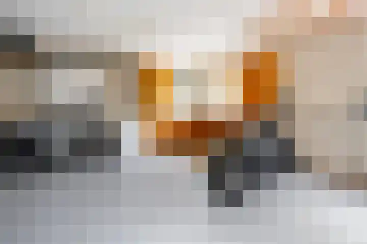 Heidehoek 5 Zevenhuizen thumbnail 52