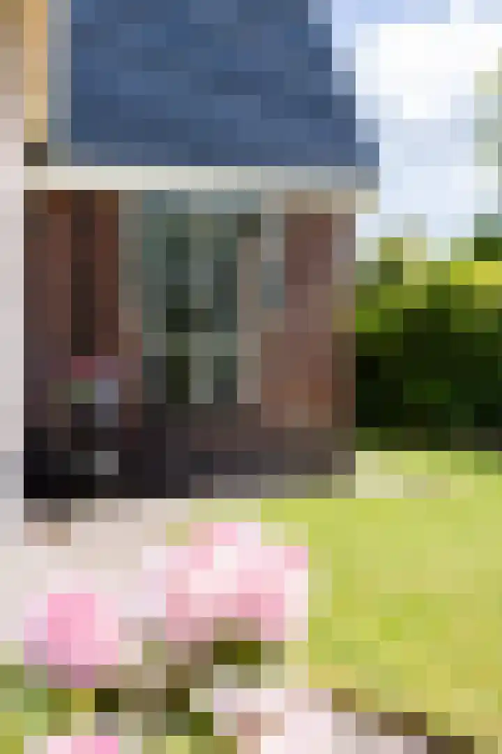 Heidehoek 5 Zevenhuizen thumbnail 55