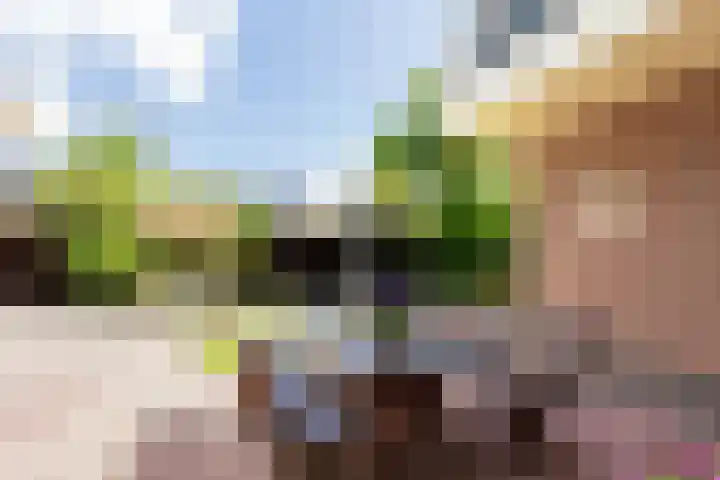 Heidehoek 5 Zevenhuizen thumbnail 57