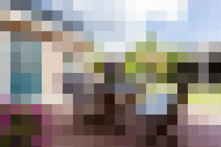 Heidehoek 5 Zevenhuizen thumbnail 58
