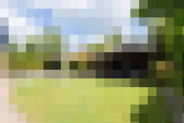 Heidehoek 5 Zevenhuizen thumbnail 60