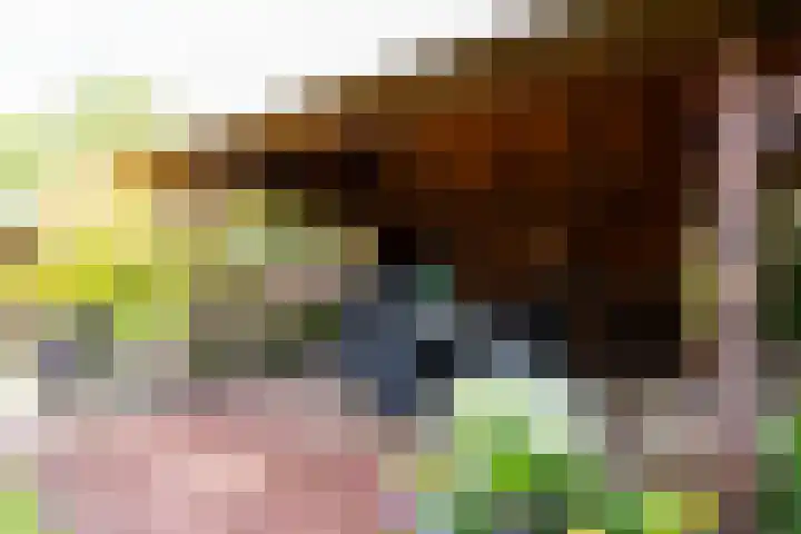 Heidehoek 5 Zevenhuizen thumbnail 61