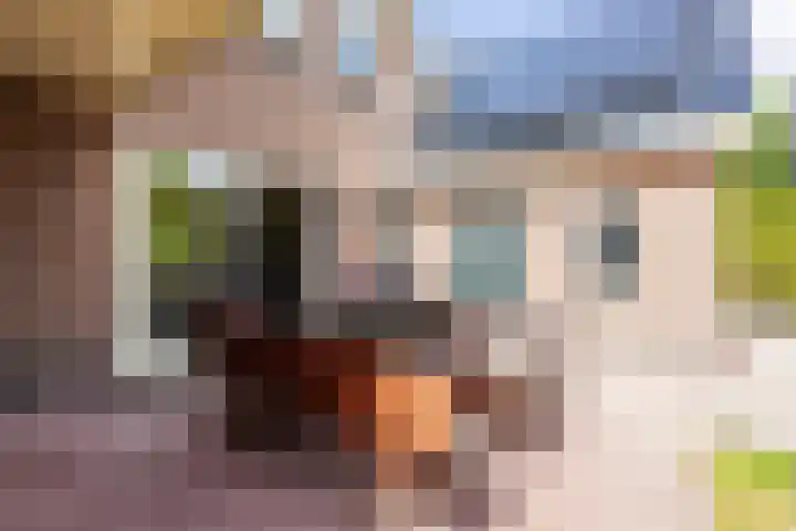 Heidehoek 5 Zevenhuizen thumbnail 62