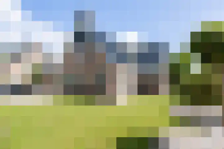 Heidehoek 5 Zevenhuizen thumbnail 63