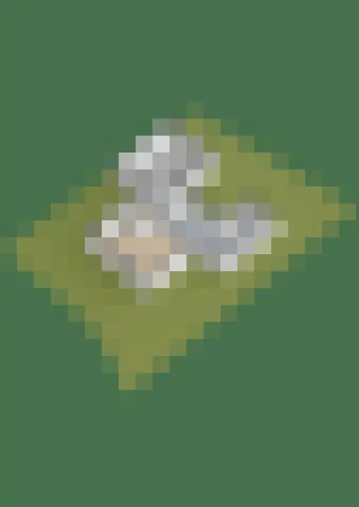 Heidehoek 5 Zevenhuizen thumbnail 78