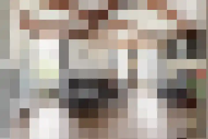 Heidehoek 5 Zevenhuizen thumbnail 9
