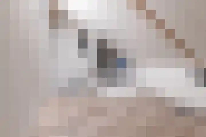 Heidehoeve 9 Nieuwegein thumbnail 46