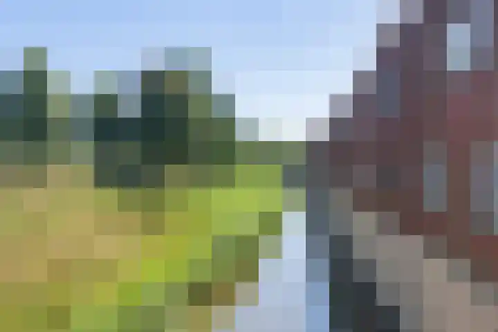 Heidehoeve 9 Nieuwegein thumbnail 62