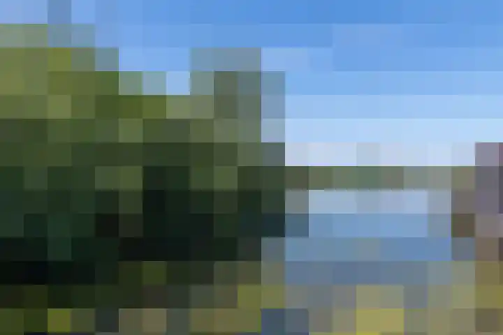 Heidehoeve 9 Nieuwegein thumbnail 64