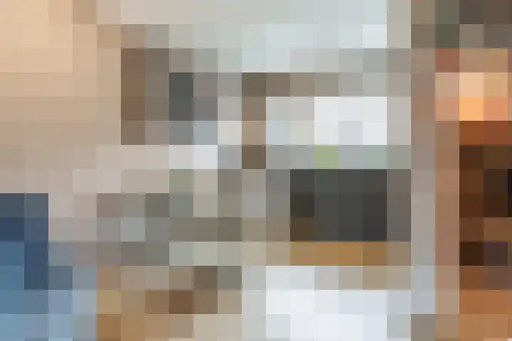 Heidehof 24 Losser thumbnail 17