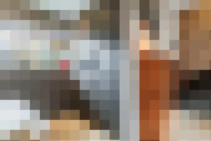 Heidehof 24 Losser thumbnail 18
