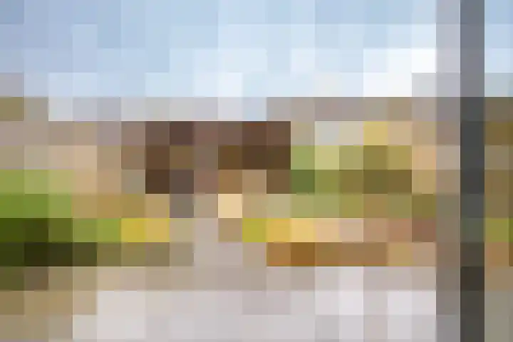 Heidehof 24 Losser thumbnail 20