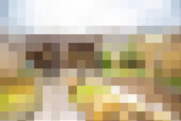 Heidehof 24 Losser thumbnail 22