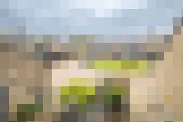 Heidehof 24 Losser thumbnail 26