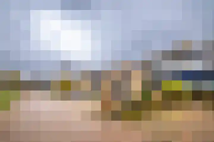 Heidehof 24 Losser thumbnail 5