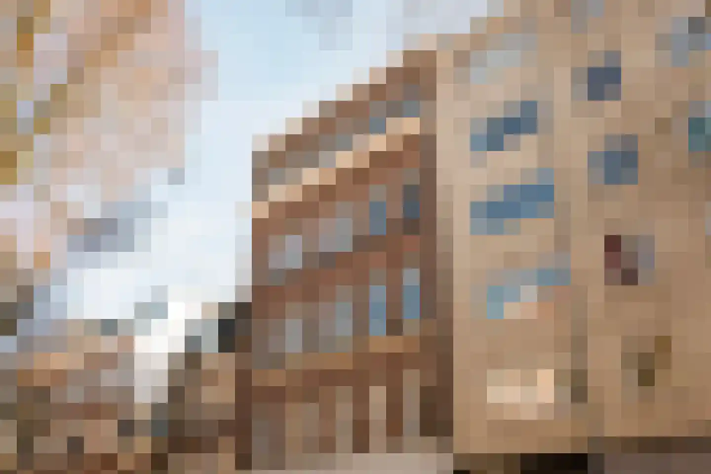 Heidehof 24 Losser thumbnail 7