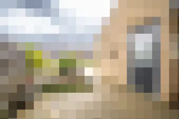 Heidehof 24 Losser thumbnail 8
