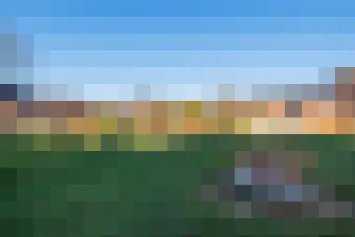 Heidehof 27 Gennep thumbnail 35