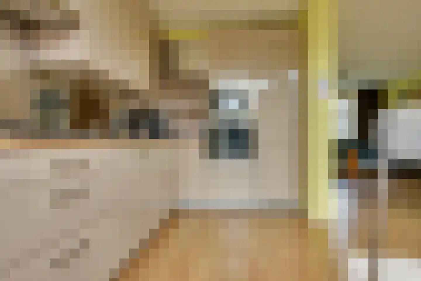 Heidehof 29 Made thumbnail 20