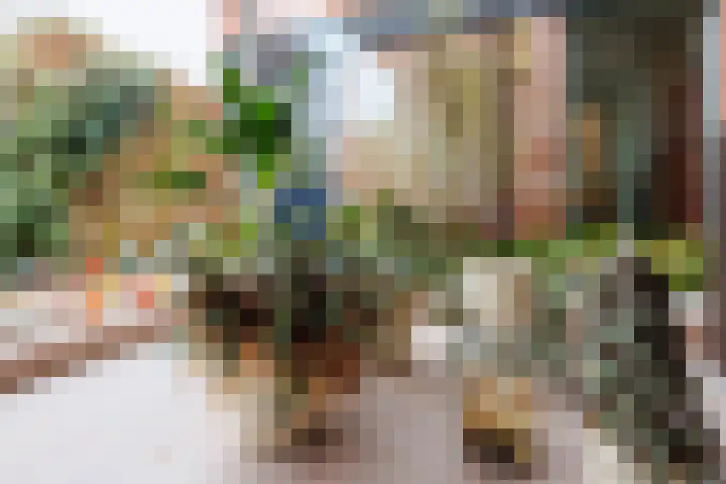 Heidehof 41 Gennep thumbnail 22