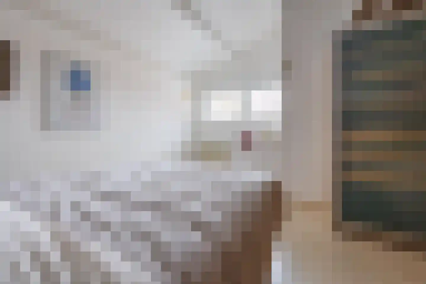 Heidehof 41 Gennep thumbnail 33