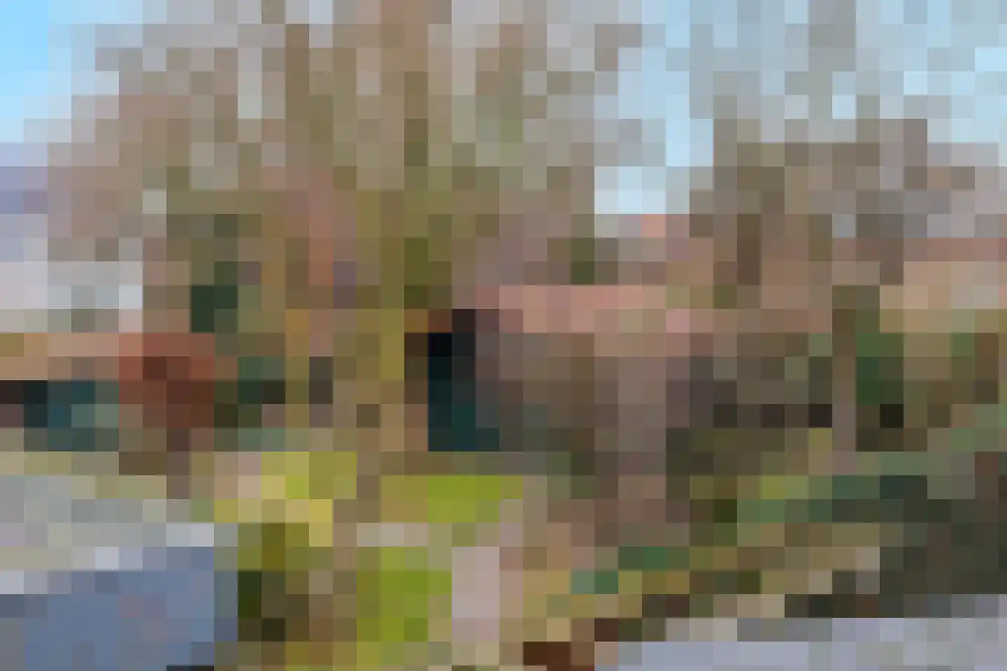 Heidehof 41 Gennep thumbnail 42