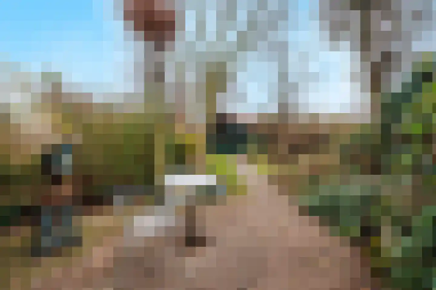 Heidehof 41 Gennep thumbnail 43