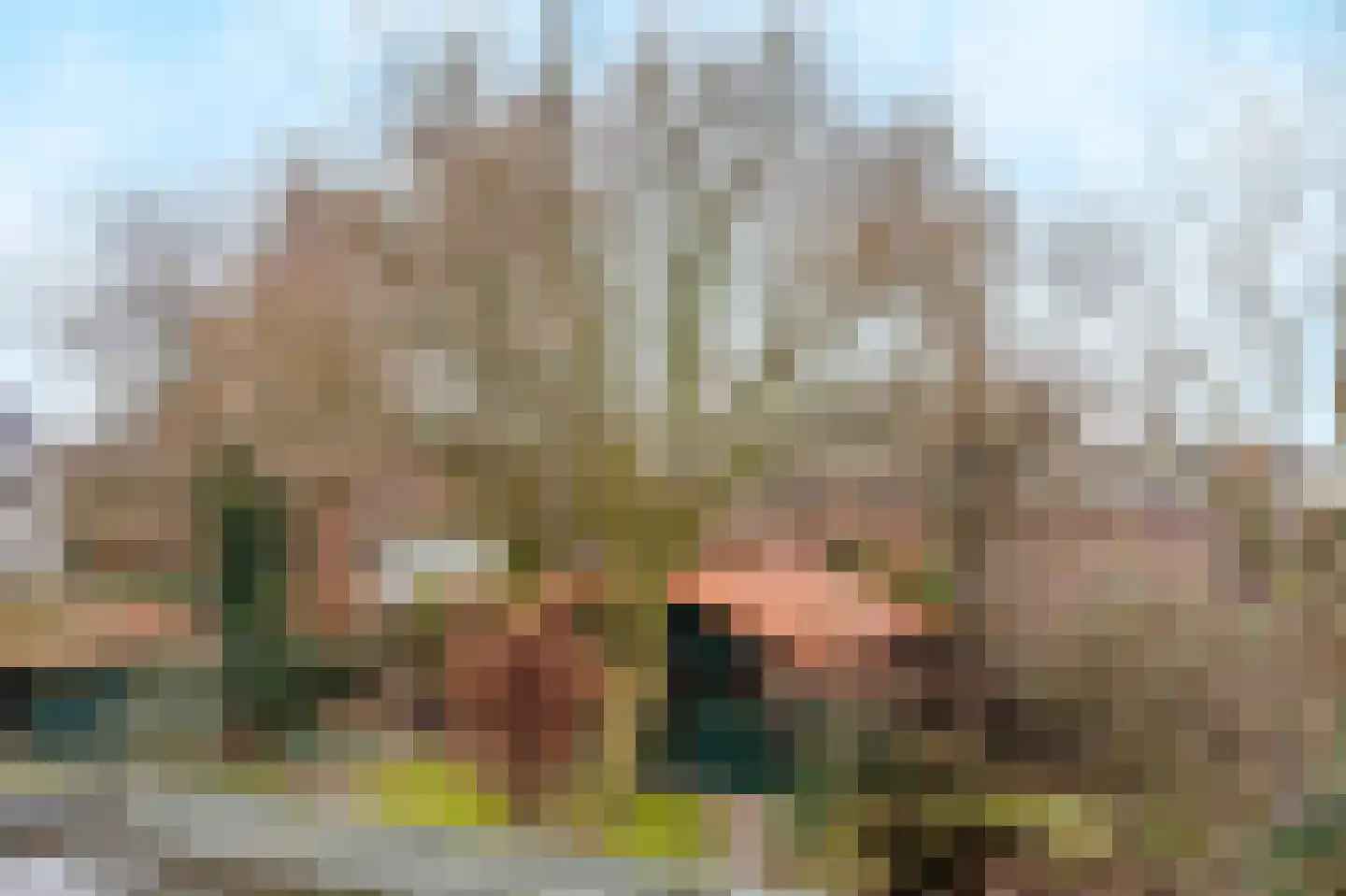 Heidehof 41 Gennep thumbnail 44