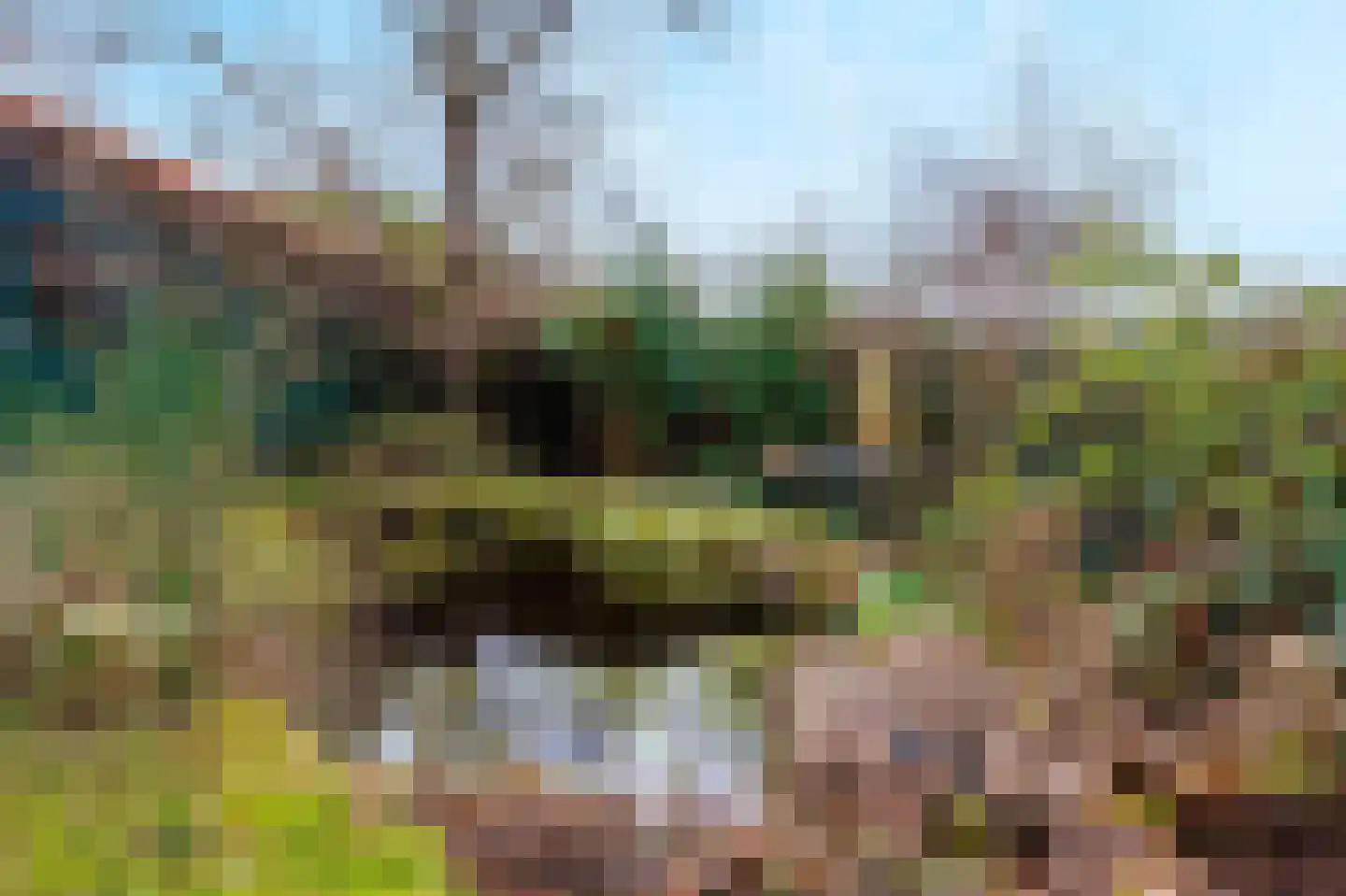 Heidehof 41 Gennep thumbnail 45