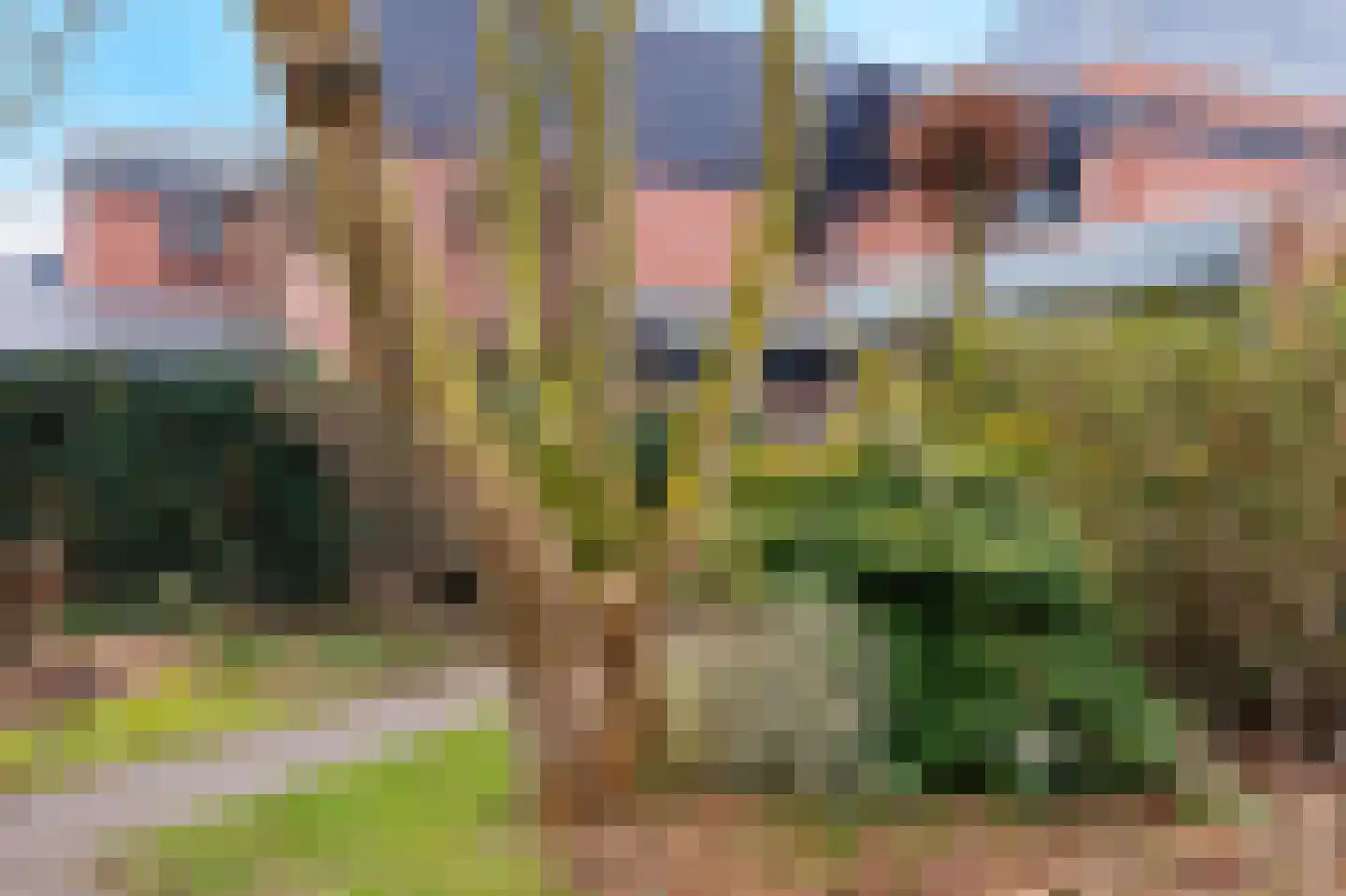 Heidehof 41 Gennep thumbnail 53