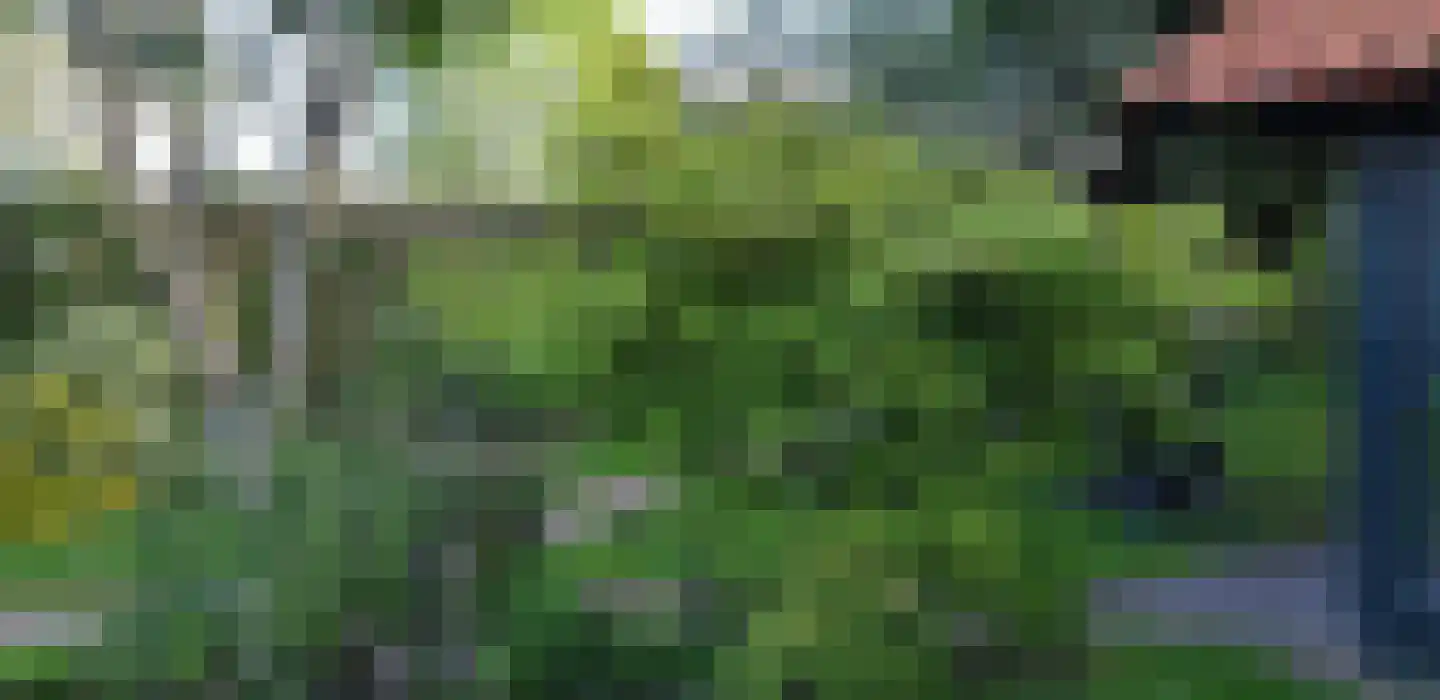 Heidehof 41 Gennep thumbnail 56