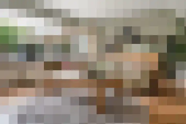 Heidehof 42 Losser thumbnail 10