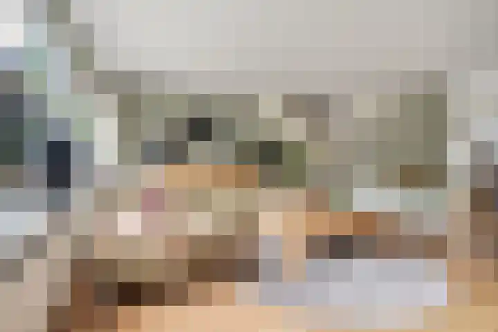 Heidehof 42 Losser thumbnail 11