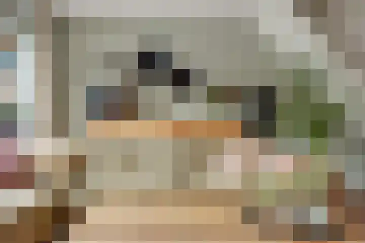 Heidehof 42 Losser thumbnail 12