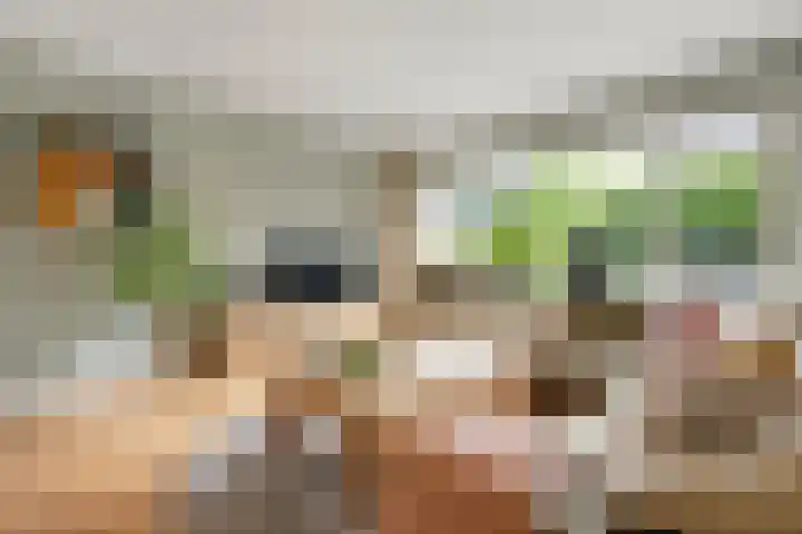 Heidehof 42 Losser thumbnail 13