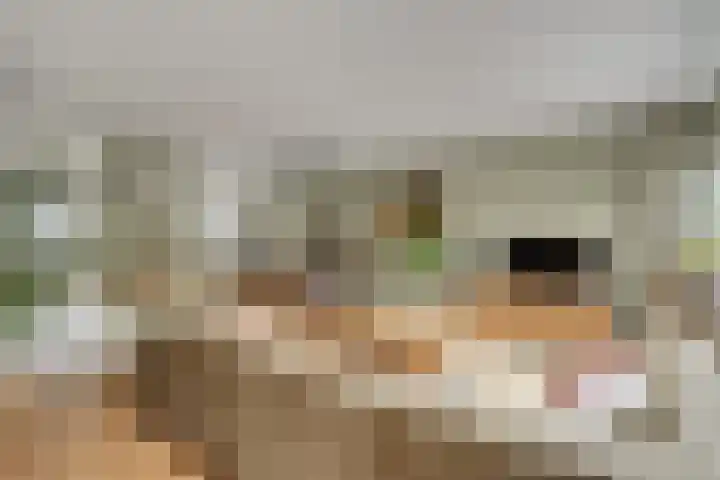 Heidehof 42 Losser thumbnail 14