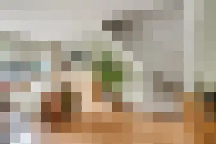 Heidehof 42 Losser thumbnail 16